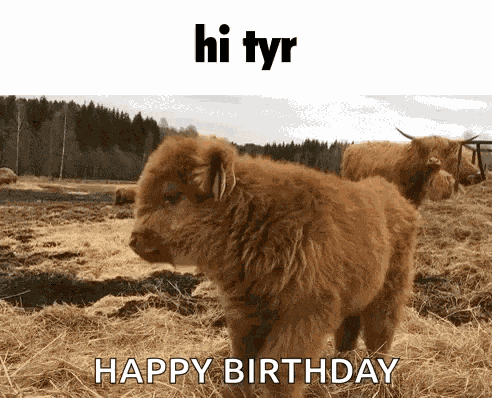 Tyr Greetings GIF