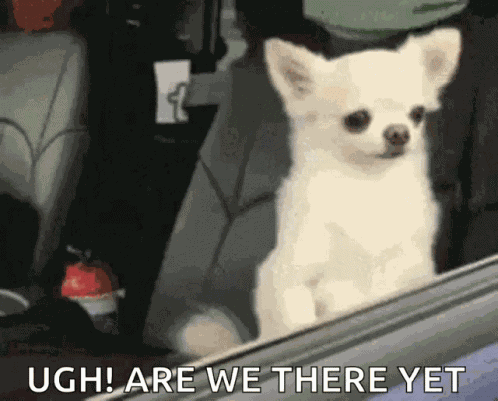 Ugh Are We There Yet GIF
