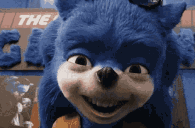 Ugly Sonic Chip N Dale GIF