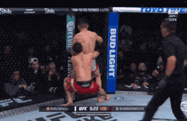 Umar Nurmagomedov GIF