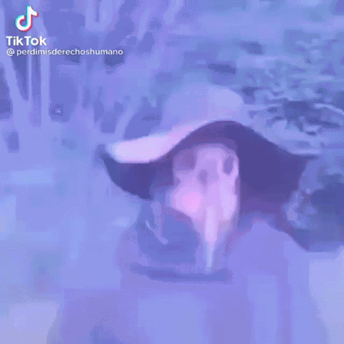 Unboxing Bob GIF