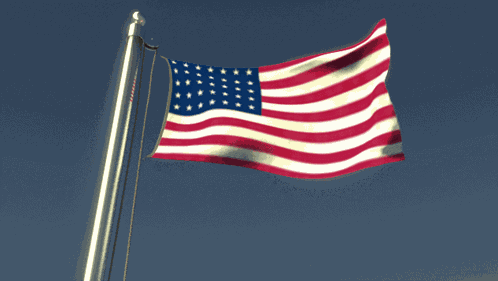 Union Usa GIF