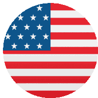 United States Flags Sticker