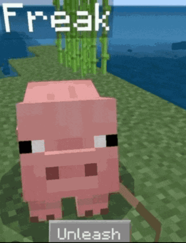 Unleash The Freak Freaky Meme