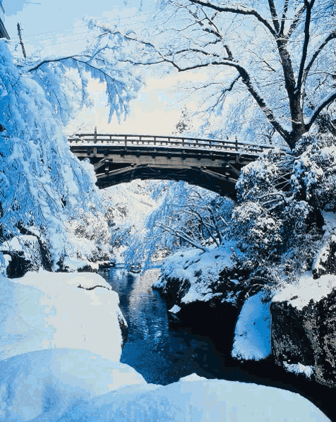 雪景色 冬 GIF