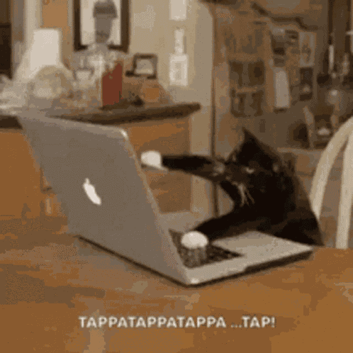 Ur Mom GIF