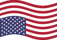 Us Usa Sticker