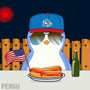 Usa America GIF GIF