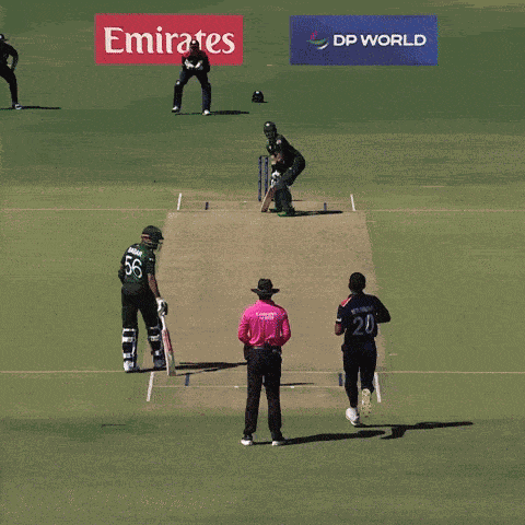 Usa Cricket Team Usa GIF