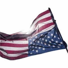 Usa Flag Distress Meme