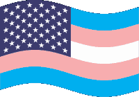 Usa United States Sticker