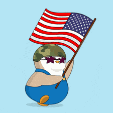 Usa United States GIF