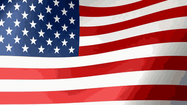 Usa Us Flag GIF