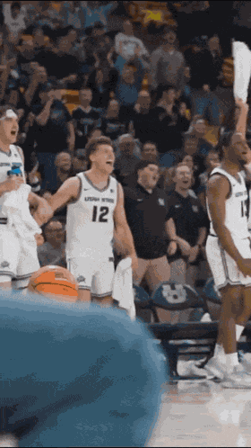 Utah State University College Basketball GIF