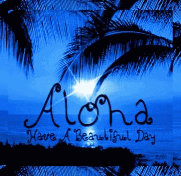 Vacation Aloha GIF