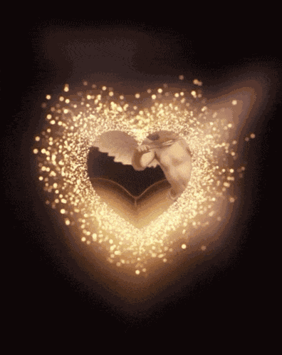 Valentine Happy Valentine GIF