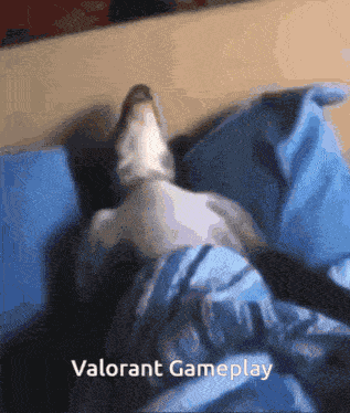 Valorant Valorant Boring GIF