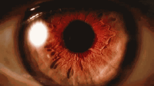 Vampire Vampire Eye GIF