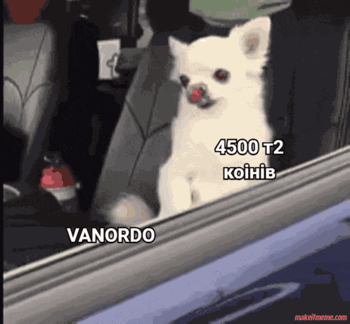 Vanordo2 GIF