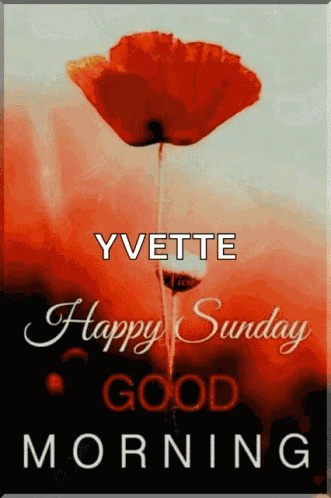 Vasárnap Happy GIF