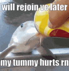 Vc Will Rejoin Vc GIF