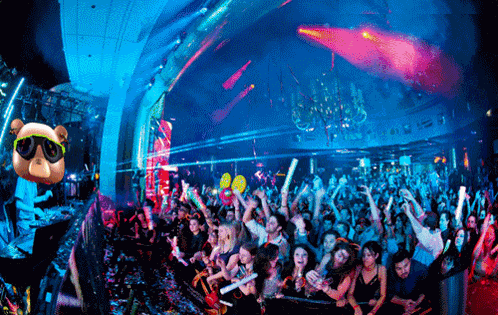 Vceezy Vceezy Dj GIF