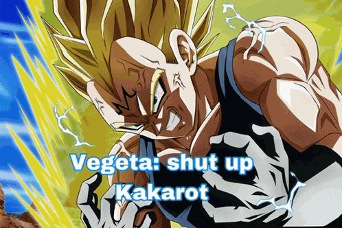 Vegeta Meme