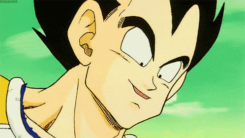 Vegeta Vegeta Gohan GIF