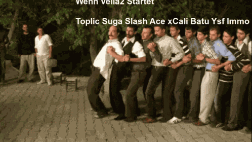 Velia2 GIF
