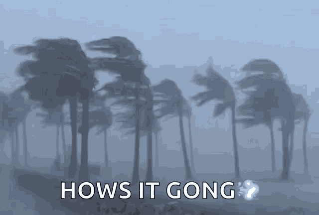 Vent Hurricane GIF