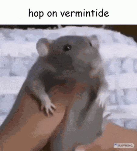 Vermintide Skaven GIF