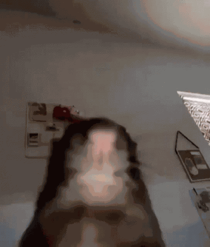 Very Fast Rat Rat GIF