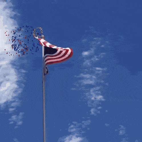Veterans Day 2023 GIF