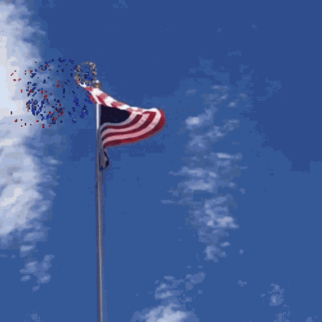Veterans Day Honoring GIF