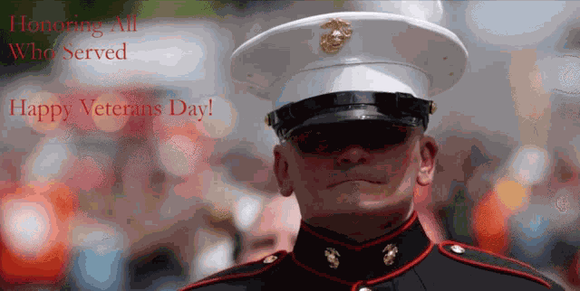 Veterans Day In Honor GIF