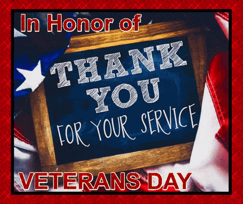 Veterans Day Thank You For Your Service GIF