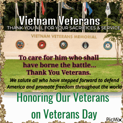 Veterans Day Vietnam Veterans GIF