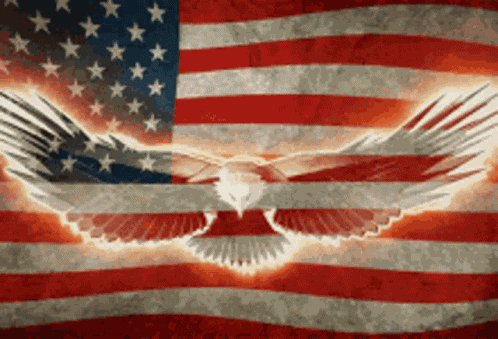 Veterans Day GIF