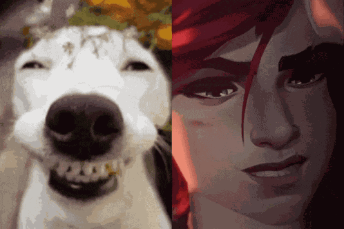 Vi Arcane Smiley Dog GIF