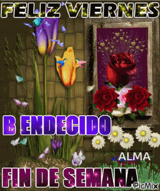 Viernes Fin Semana GIF