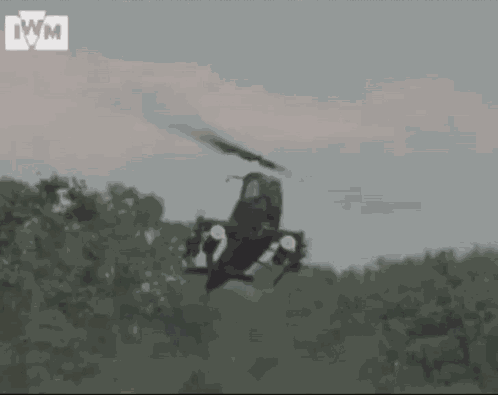 Vietnam Cobra GIF