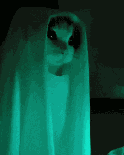 Vikasskorbinka Vikasskorbinka Vikasskorbinka GIF