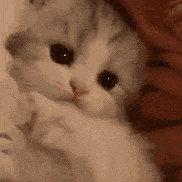 Vikasskorbinka Vikasskorbinka Vikasskorbinka GIF