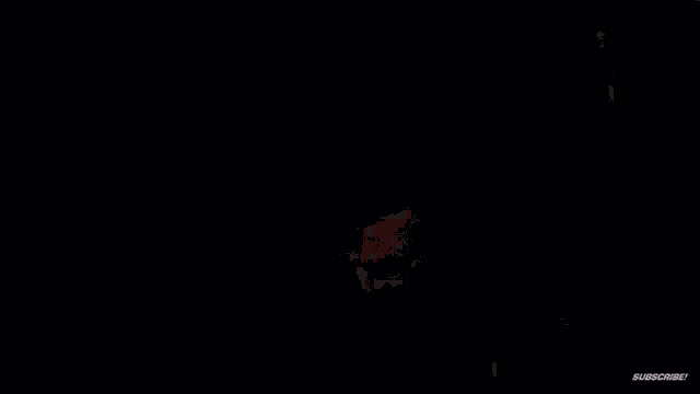 Vincent Marseglia GIF