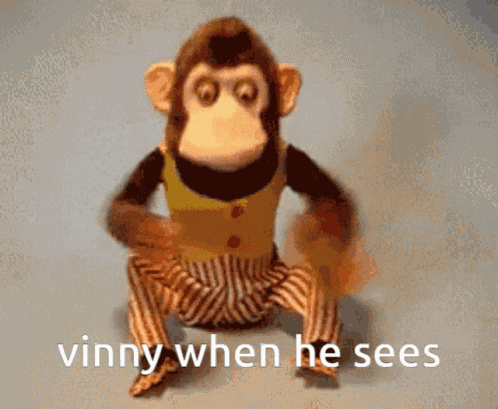 Vinny Monkey GIF