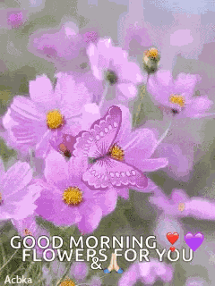 Violet Butterfly GIF