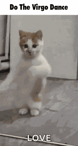 Virgo Dance Florence Winters GIF