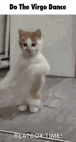 Virgo Dance Florence Winters GIF