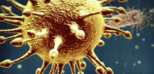 Virus Bacteria GIF