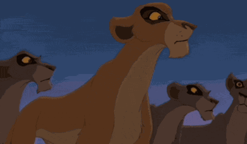 Vitani Lion King 2 GIF